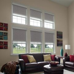 blackout dual roller shades from lutron