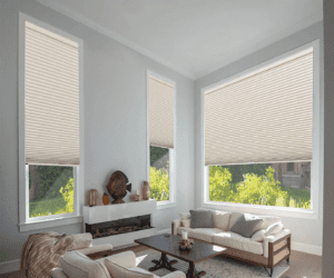 Cordless Cellular Shades in living room